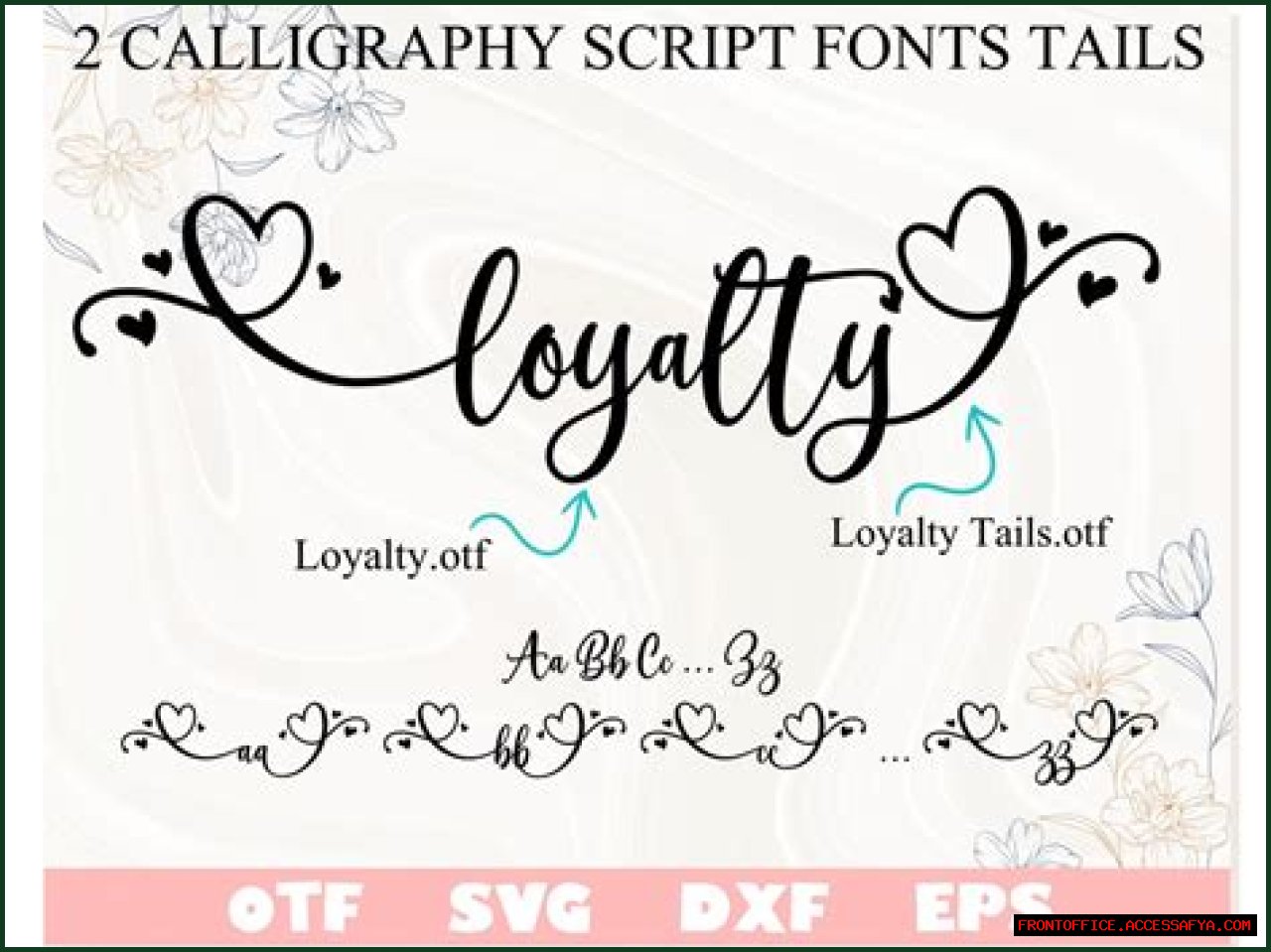 A Journey Of Love, Loyalty, And Inspiration